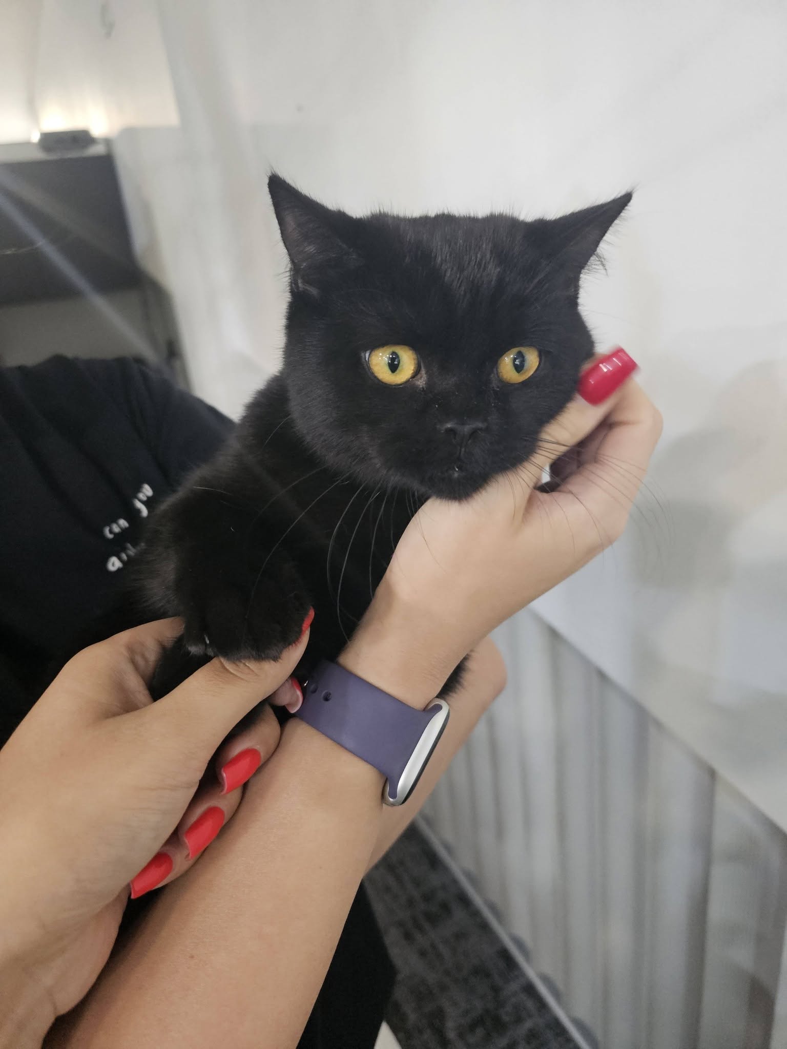 Fotografie cu animalul — 2 din 2