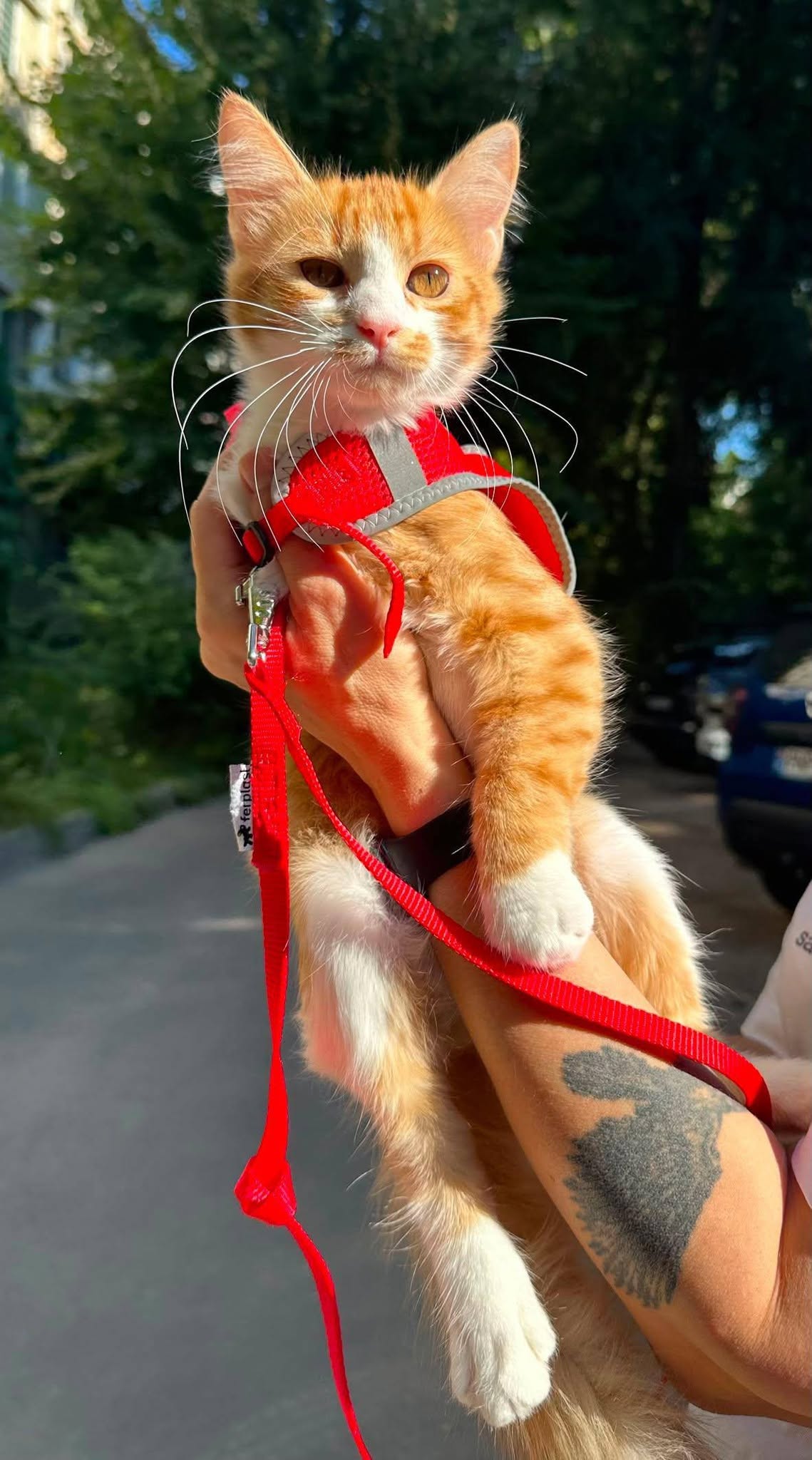 Fotografie cu Masya — 1 din 3